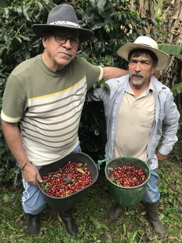 Don Joaco |Colombia| Los Mandarinos | Catimore – Bild 2